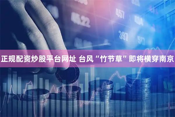正规配资炒股平台网址 台风“竹节草”即将横穿南京