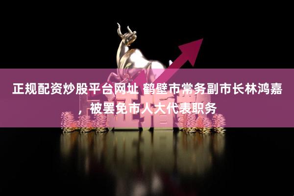 正规配资炒股平台网址 鹤壁市常务副市长林鸿嘉，被罢免市人大代表职务