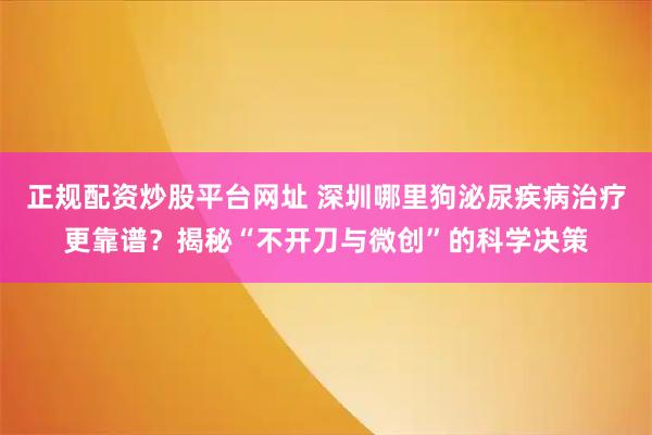 正规配资炒股平台网址 深圳哪里狗泌尿疾病治疗更靠谱？揭秘“不开刀与微创”的科学决策